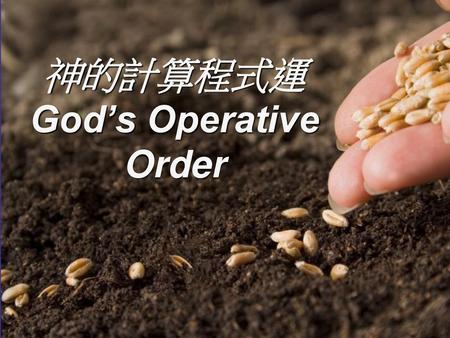 神的計算程式運 God’s Operative Order