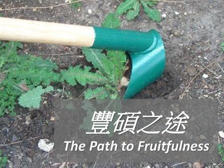 豐碩之途 The Path to Fruitfulness