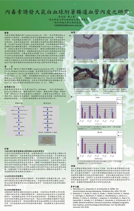 內毒素誘發大鼠白血球附著腸道血管內皮之研究