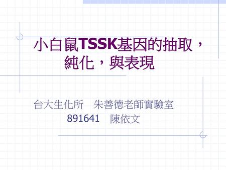 小白鼠TSSK基因的抽取，純化，與表現 台大生化所　朱善德老師實驗室 891641　陳依文.