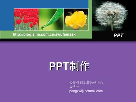 PPT制作 http://blog.sina.com.cn/swufemask 经济管理实验教学中心 庞先伟 pangxw@hotmail.com.