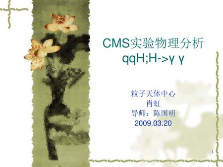 CMS实验物理分析 qqH;H->γ γ
