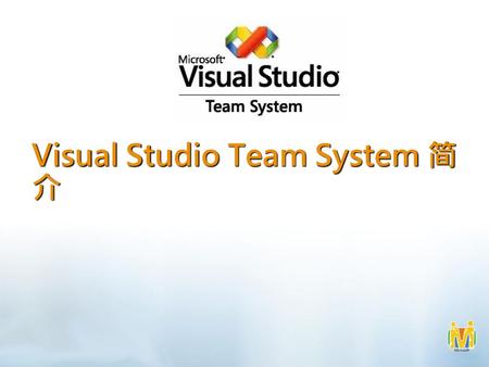 Visual Studio Team System 简介