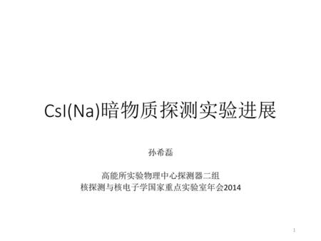 孙希磊 高能所实验物理中心探测器二组 核探测与核电子学国家重点实验室年会2014