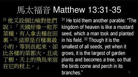 馬太福音 Matthew 13:31-35 31 他又設個比喻對他們說：「天國好像一粒芥菜種，有人拿去種在田裏。32 這原是百種裏最小的，等到長起來，卻比各樣的菜都大，且成了樹，天上的飛鳥來宿在它的枝上。」 31 He told them another parable: “The kingdom of.