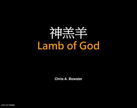 神羔羊 Lamb of God Chris A. Bowater CCLI #1133585.