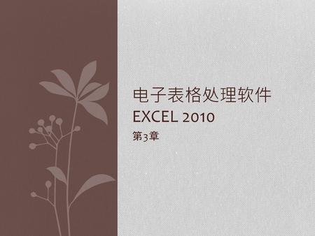 电子表格处理软件 Excel 2010 第3章.