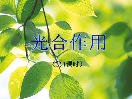 光合作用 （第1课时）.