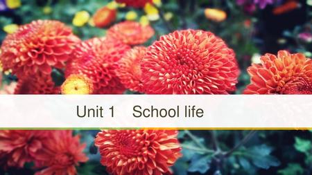 Unit 1　School life.