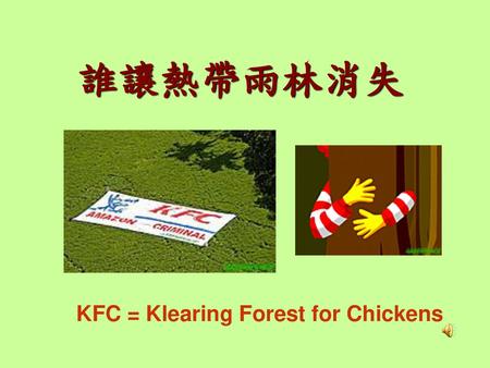 誰讓熱帶雨林消失 KFC = Klearing Forest for Chickens.