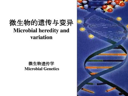 微生物的遗传与变异 Microbial heredity and variation 微生物遗传学 Microbial Genetics