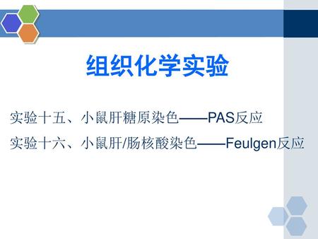 组织化学实验 实验十五、小鼠肝糖原染色——PAS反应 实验十六、小鼠肝/肠核酸染色——Feulgen反应.