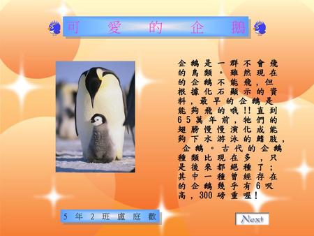 可愛的企鵝 企 鵝 是 一 群 不 會 飛 的 鳥 類 。 雖 然 現 在 的 企 鵝 不 能 飛 , 但 根 據 化 石 顯 示 的 資
