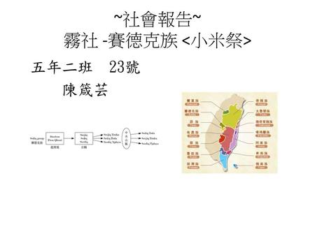 ~社會報告~ 霧社 -賽德克族 <小米祭>