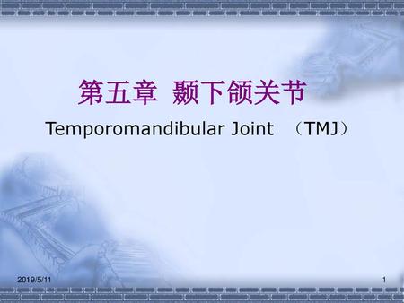 Temporomandibular Joint （TMJ）