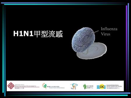 Influenza Virus H1N1甲型流感.