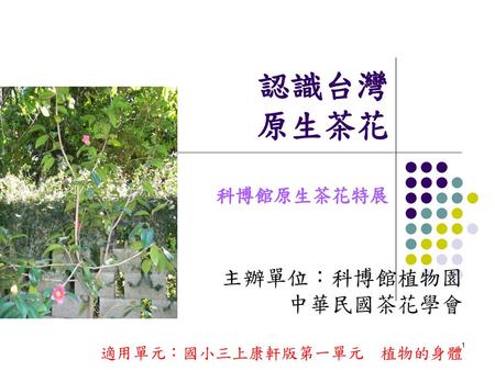 主辦單位：科博館植物園 中華民國茶花學會 適用單元：國小三上康軒版第一單元 植物的身體