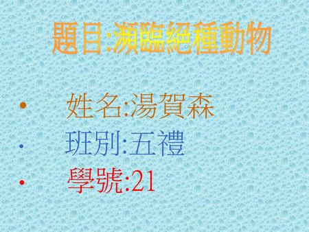 題目:瀕臨絕種動物 姓名:湯賀森 班別:五禮 學號:21.