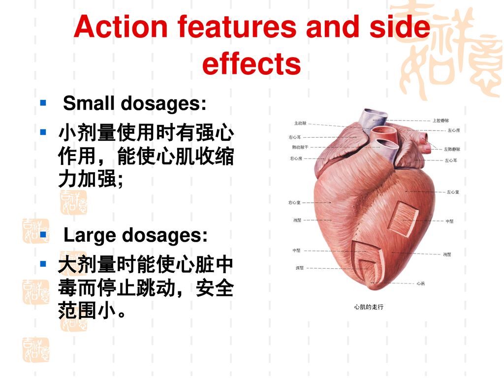 Action features and side effects