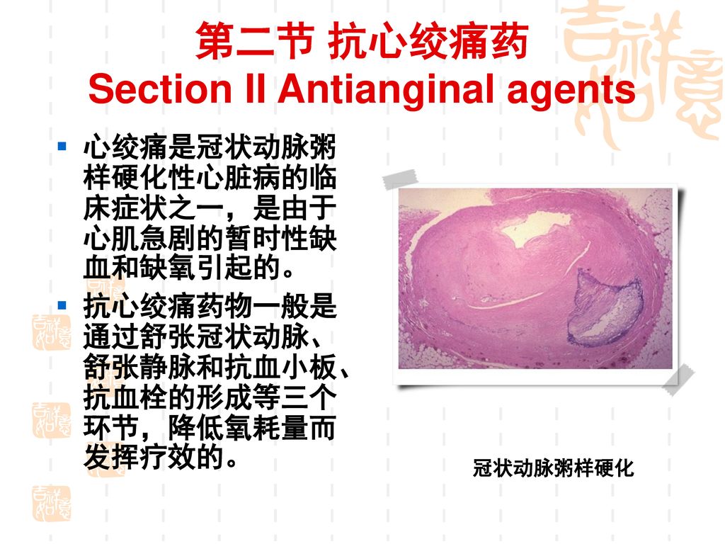 第二节 抗心绞痛药 Section II Antianginal agents