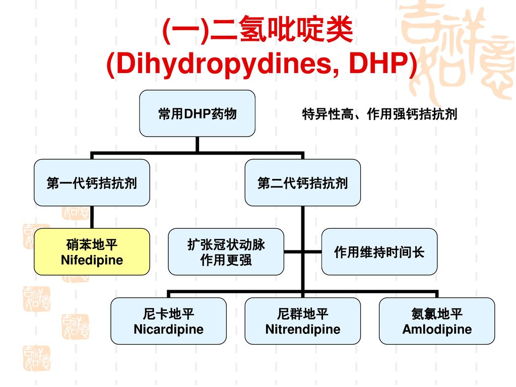 (一)二氢吡啶类 (Dihydropydines, DHP)