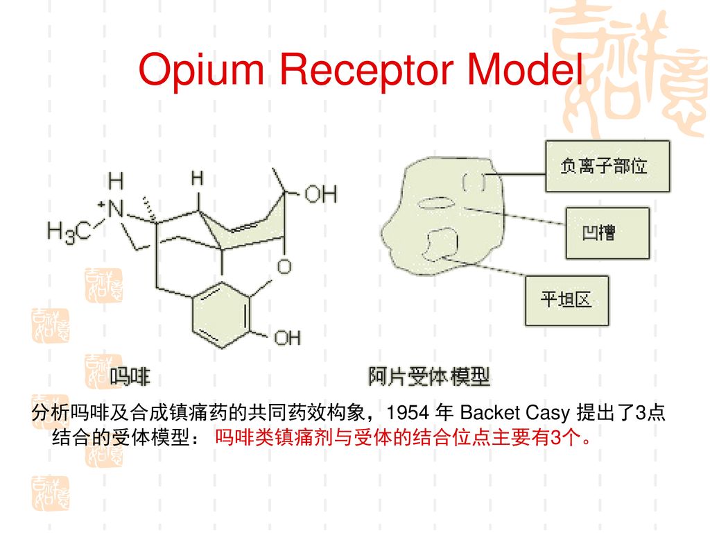 Opium Receptor Model 分析吗啡及合成镇痛药的共同药效构象，1954 年 Backet Casy 提出了3点结合的受体模型： 吗啡类镇痛剂与受体的结合位点主要有3个。