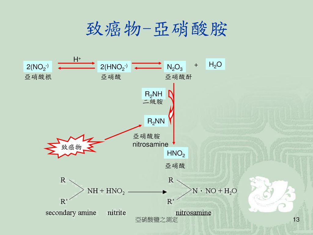 致癌物-亞硝酸胺 H+ + H2O 2(NO2-) 2(HNO2-) N2O3 亞硝酸根 亞硝酸 亞硝酸酐 R2NH 二級胺 R2NN