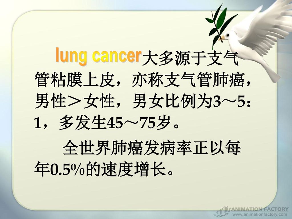 全世界肺癌发病率正以每年0.5%的速度增长。 lung cancer