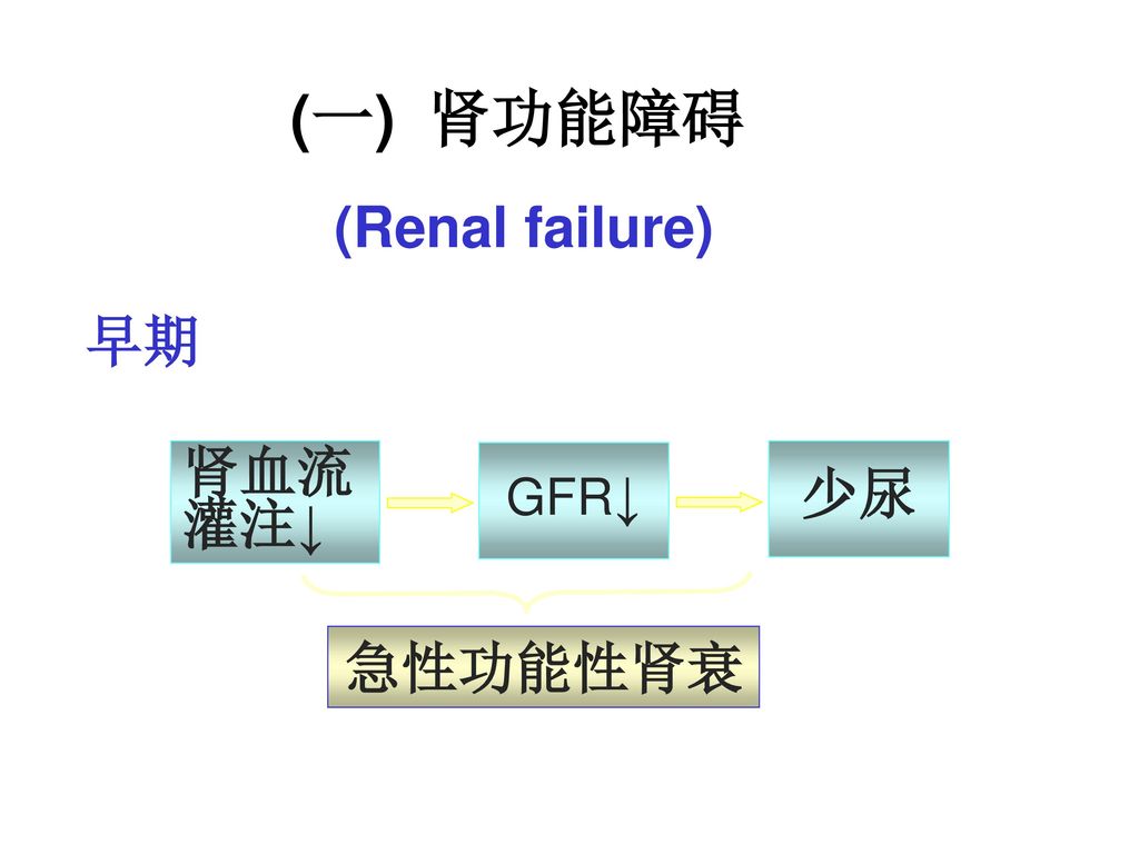 (一) 肾功能障碍 (Renal failure) 早期 肾血流灌注↓ GFR↓ 少尿 急性功能性肾衰