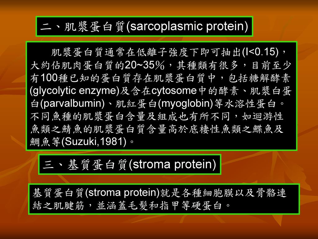 二、肌漿蛋白質(sarcoplasmic protein)
