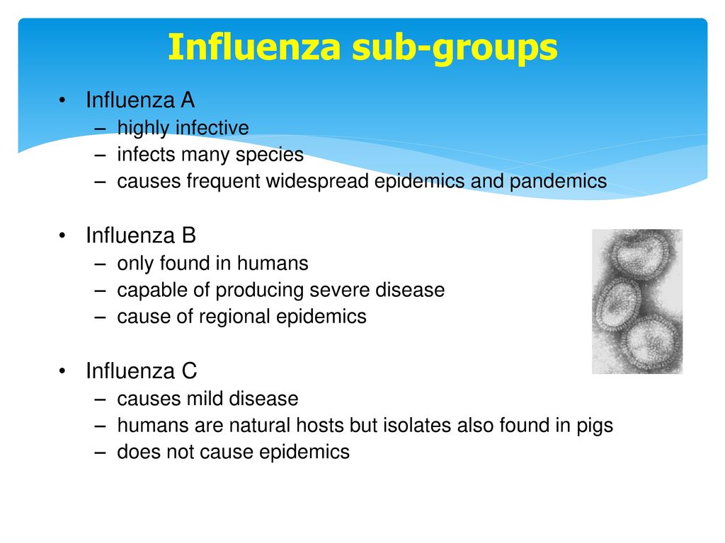 Influenza sub-groups Influenza A Influenza B Influenza C