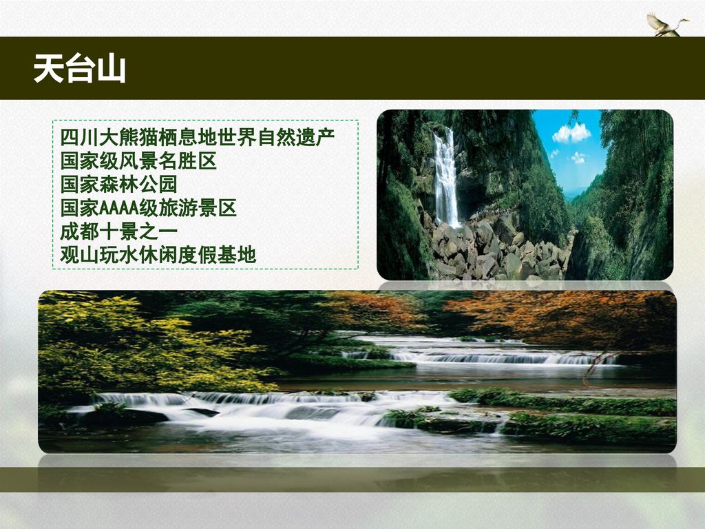 天台山 四川大熊猫栖息地世界自然遗产 国家级风景名胜区 国家森林公园 国家AAAA级旅游景区 成都十景之一 观山玩水休闲度假基地