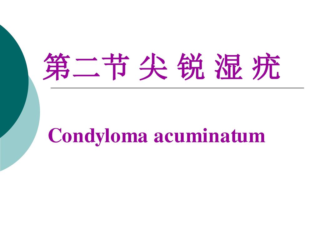 第二节 尖 锐 湿 疣 Condyloma acuminatum