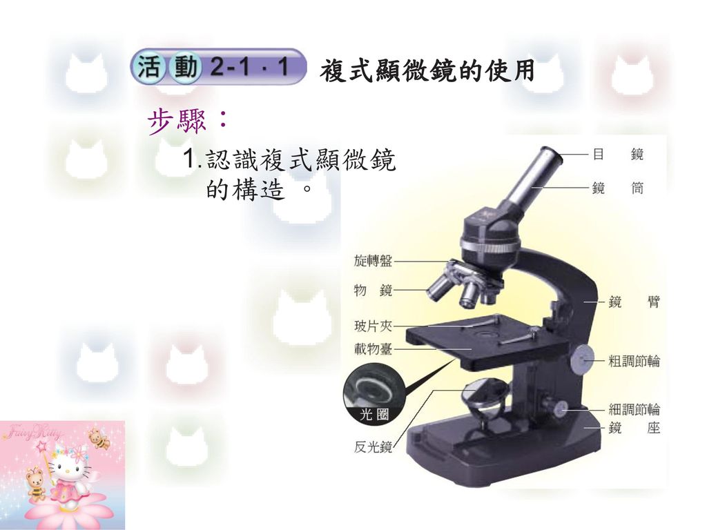 複式顯微鏡的使用 步驟： 1.認識複式顯微鏡 的構造 。