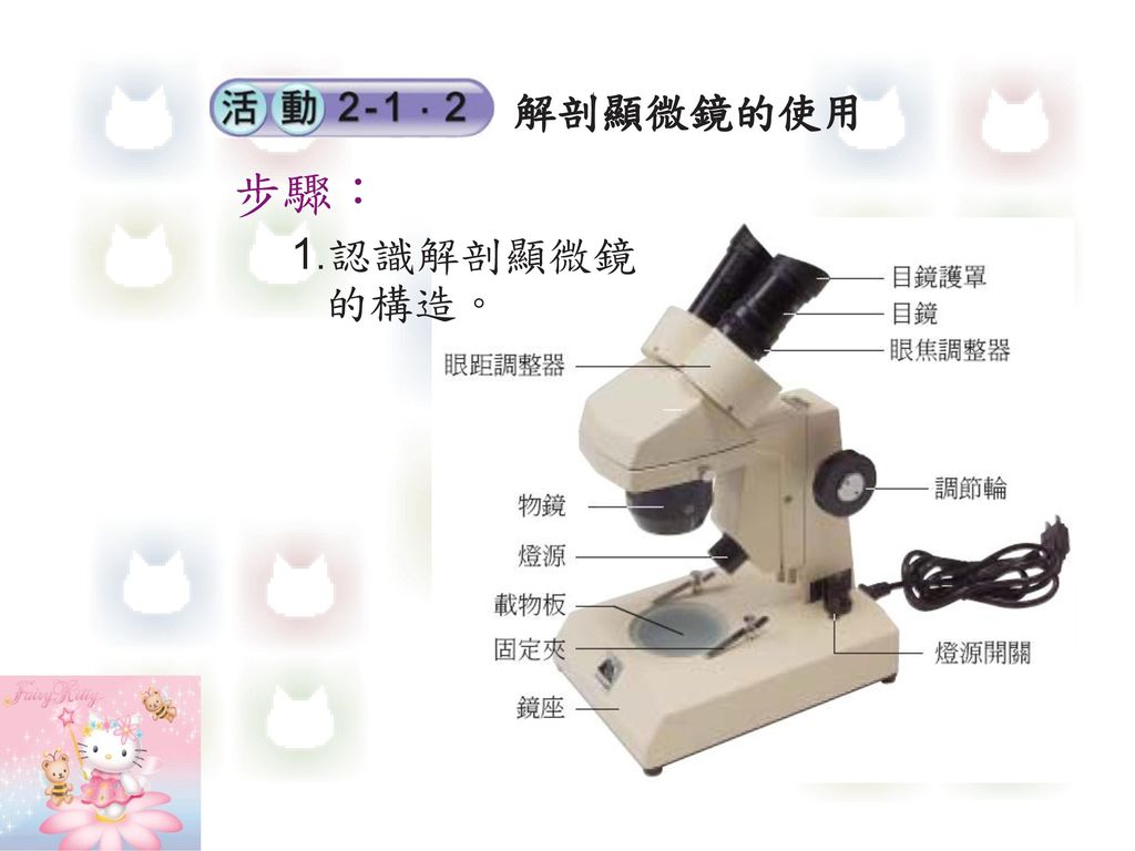 解剖顯微鏡的使用 步驟： 1.認識解剖顯微鏡 的構造。