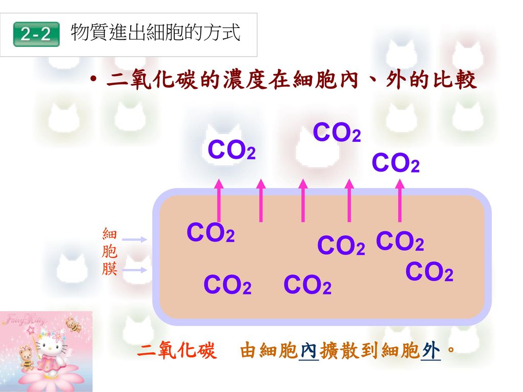 物質進出細胞的方式 二氧化碳的濃度在細胞內、外的比較 CO2 細胞膜 二氧化碳 由細胞內擴散到細胞外。