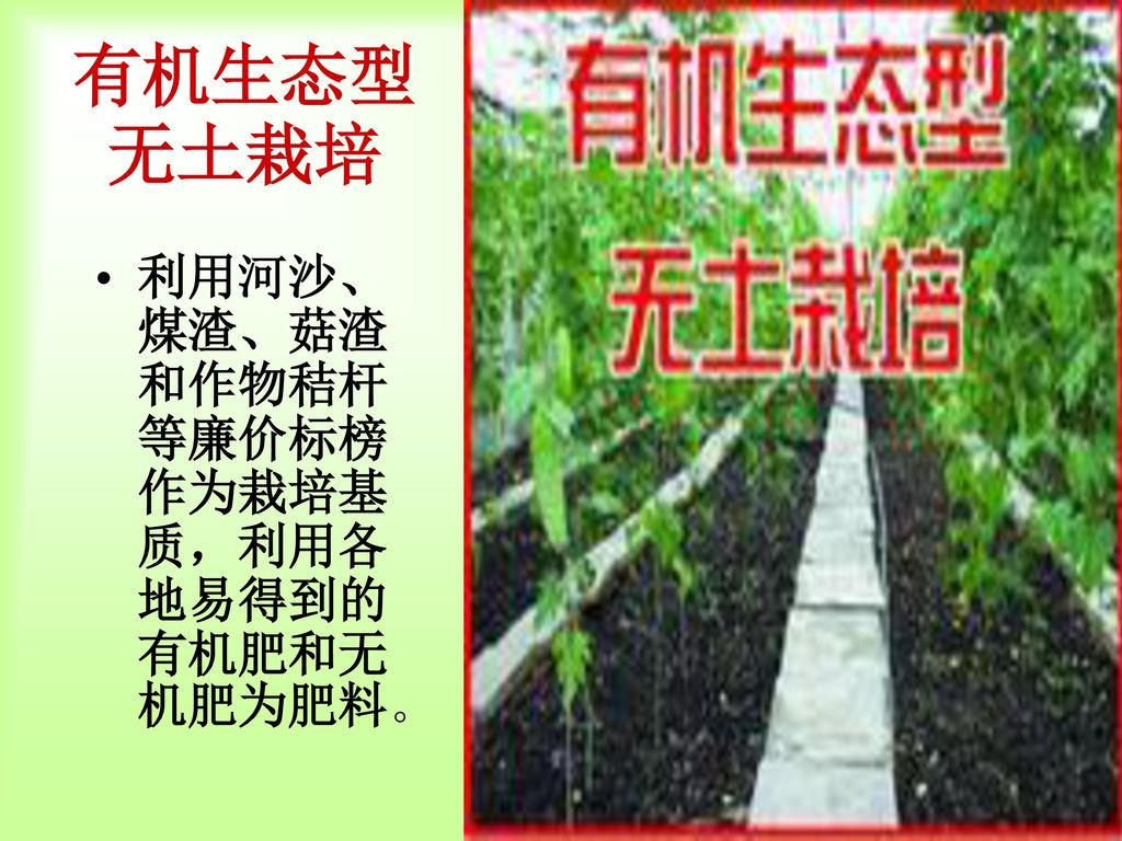 2 5 2 绿色植物的生长需要水和无机盐 Ppt Download