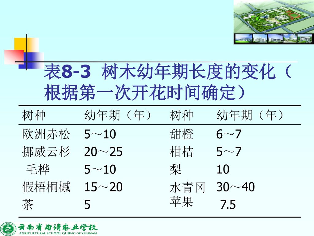 表8-3 树木幼年期长度的变化（根据第一次开花时间确定）