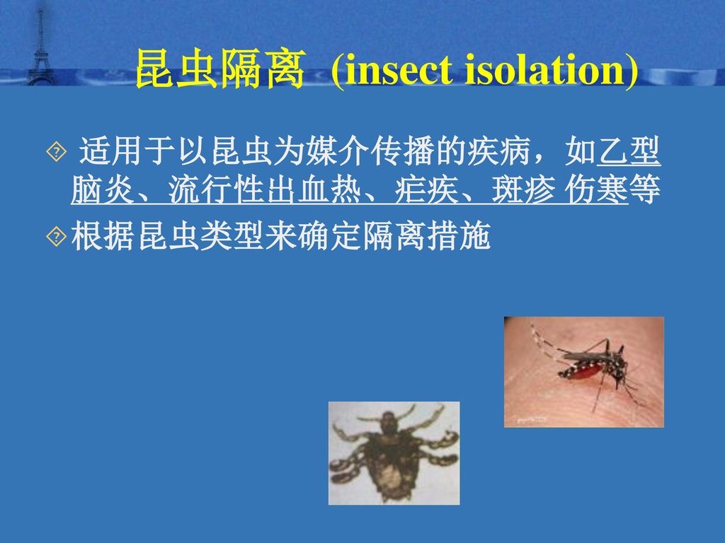 昆虫隔离 (insect isolation)