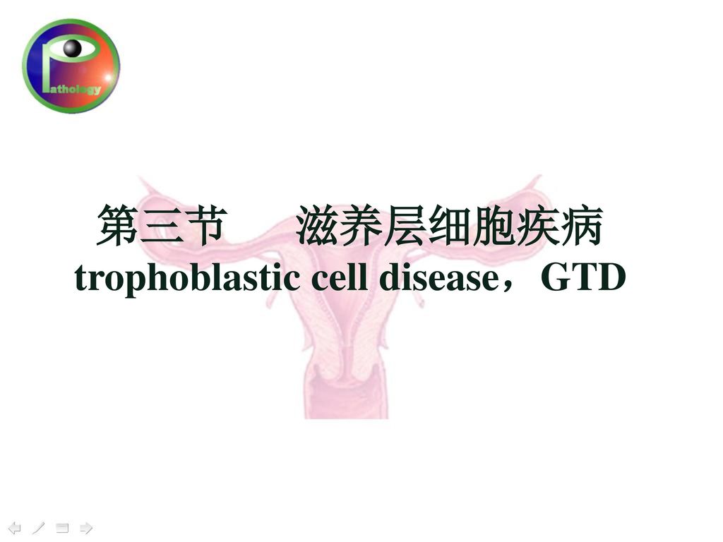 第三节 滋养层细胞疾病 trophoblastic cell disease，GTD
