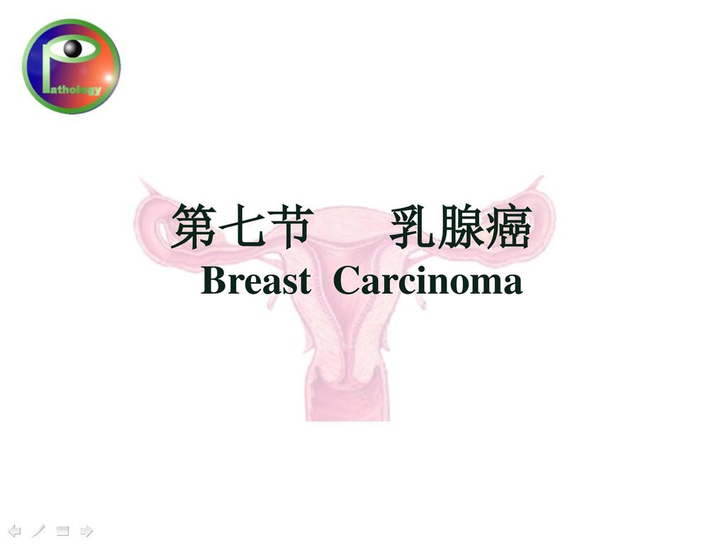 第七节 乳腺癌 Breast Carcinoma