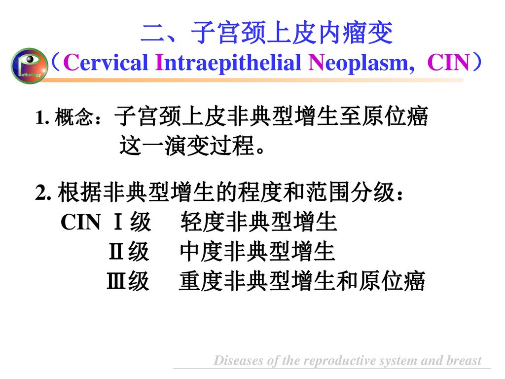 二、子宫颈上皮内瘤变 （Cervical Intraepithelial Neoplasm, CIN）