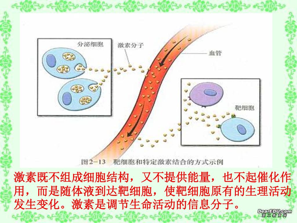 激素既不组成细胞结构，又不提供能量，也不起催化作用，而是随体液到达靶细胞，使靶细胞原有的生理活动发生变化。激素是调节生命活动的信息分子。
