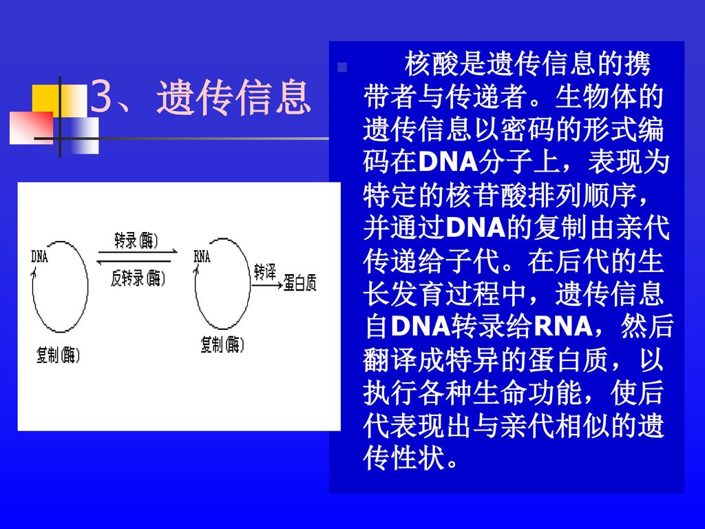 3、遗传信息 核酸是遗传信息的携带者与传递者。生物体的遗传信息以密码的形式编码在DNA分子上，表现为特定的核苷酸排列顺序，并通过DNA的复制由亲代传递给子代。在后代的生长发育过程中，遗传信息自DNA转录给RNA，然后翻译成特异的蛋白质，以执行各种生命功能，使后代表现出与亲代相似的遗传性状。
