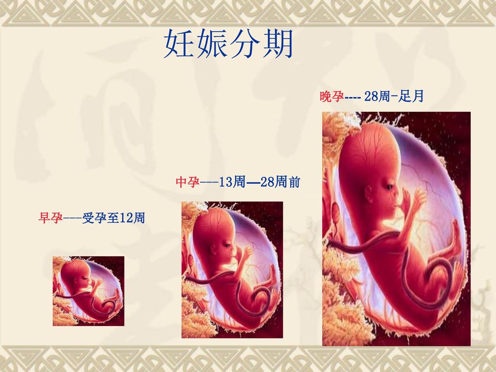 妊娠分期 晚孕 周-足月 中孕---13周—28周前 早孕---受孕至12周
