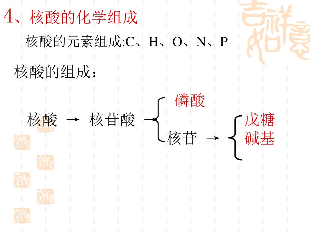 4、核酸的化学组成 核酸的元素组成:C、H、O、N、P 核酸的组成： 磷酸 核酸 → 核苷酸 → 戊糖 核苷 → 碱基