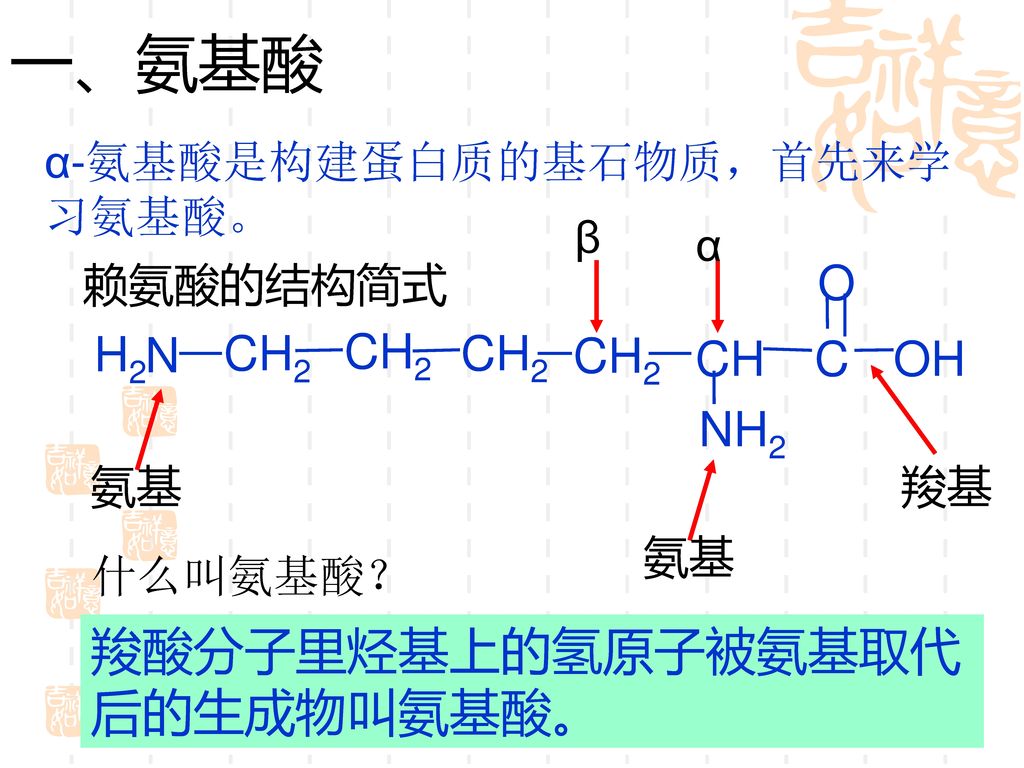 一、氨基酸 羧酸分子里烃基上的氢原子被氨基取代后的生成物叫氨基酸。 H2 N CH2 CH C O OH NH2