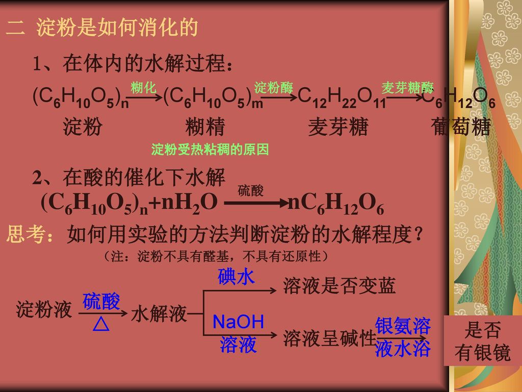 (C6H10O5)n+nH2O nC6H12O6 二 淀粉是如何消化的 1、在体内的水解过程：