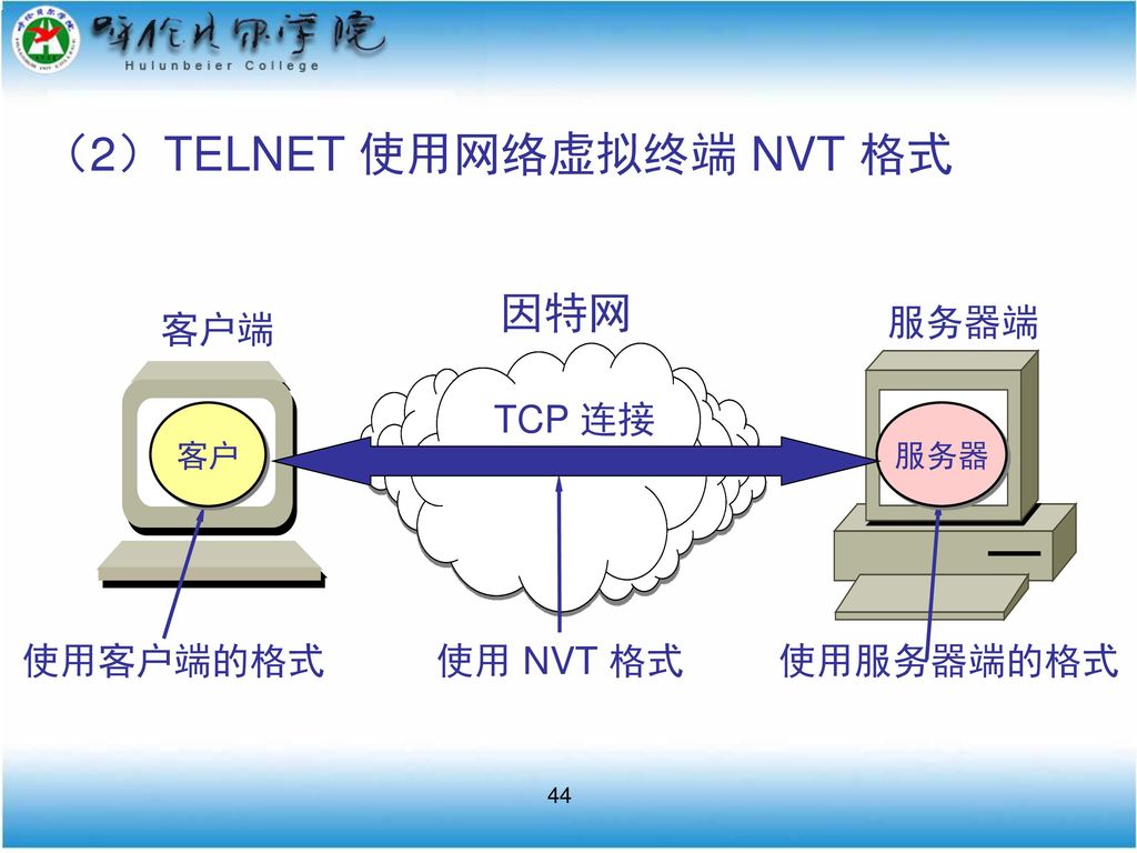 （2）TELNET 使用网络虚拟终端 NVT 格式