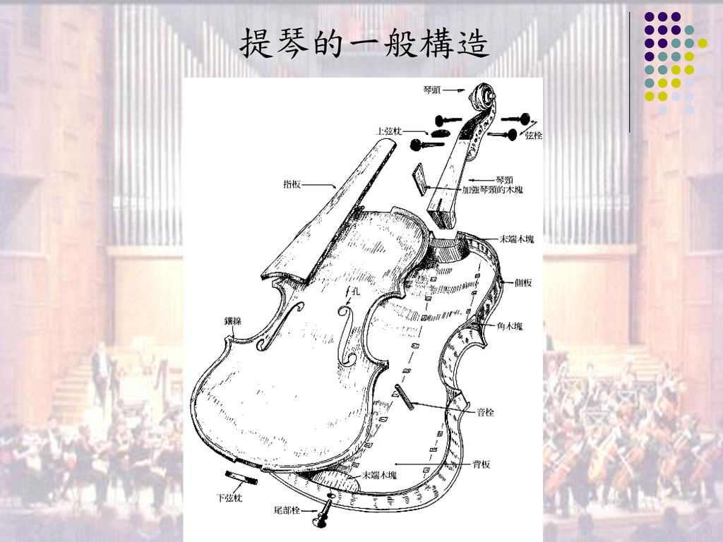 提琴的一般構造